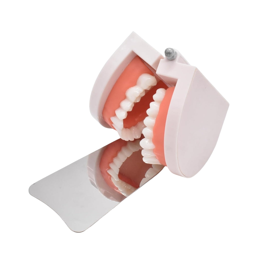 Anti-Fog Mirror System For Dentistry Photography