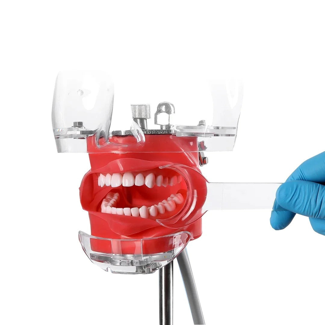 Two-Headed Cheek Retractor